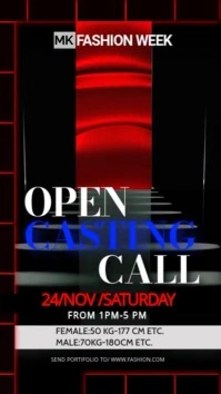Model Casting Call Posters Templates Instagram Story