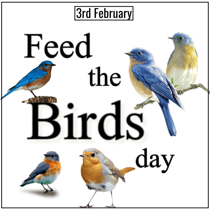 feed the bird day ,poster Template PosterMyWall