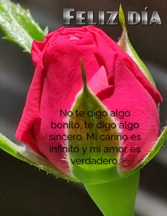 Feliz día Ulotka (US Letter) template