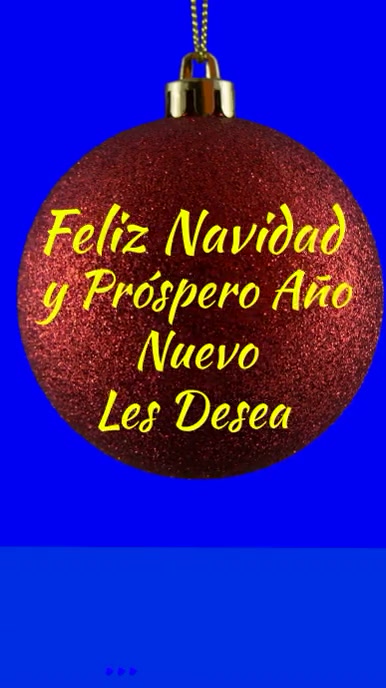 Feliz navidad y próspero año nuevo Instagram Story template