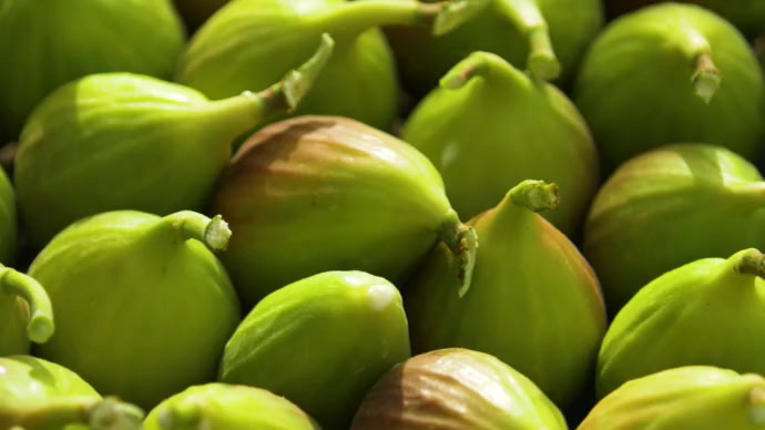 Fig Fruits YouTube Channel Cover Photo template