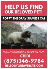 Find Our Beloved Pet A4 template