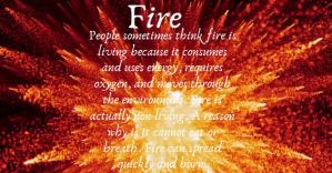 Rød Fire Awareness Facebook-annonce Template