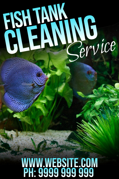 fish tank cleaning services