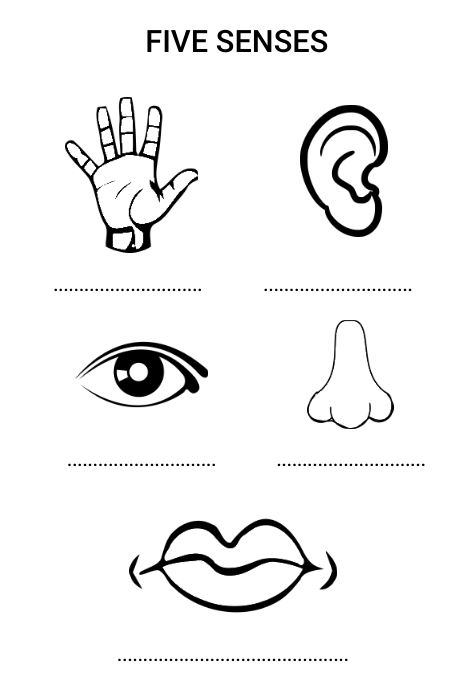 Five Senses Coloring Pages Five Senses Coloring Pages