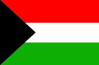 Flag Template Design Bandiera