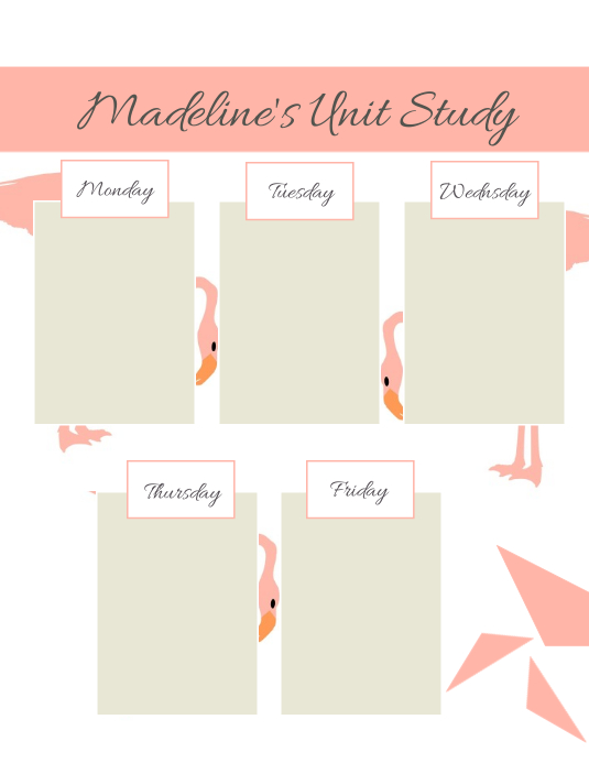 Flamingo Unit Study Lesson Plan Template | PosterMyWall