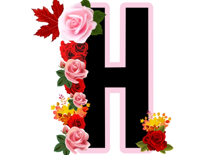 H Layout H Design Letter