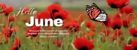 Floral Hello June Happy Summer Welcome To New Month Facebook Cover Photo template