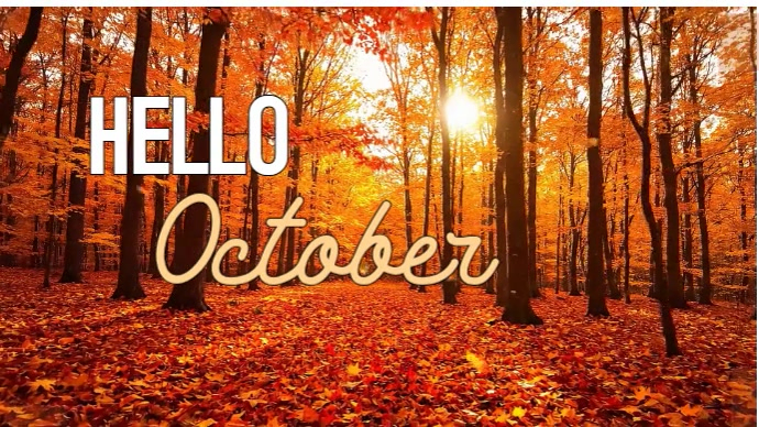 Autumn Season Digital Display Template | PosterMyWall
