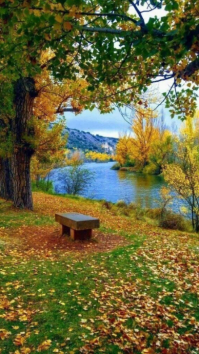 Floral Peaceful Autumn Riverside Background Digital Display (9:16) template