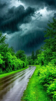 Floral Rainy Forest Road With Dark Clouds And Lush Green Trees Digital Display (9:16) template