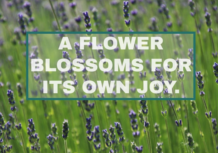 FLOWER AND JOY QUOTE TEMPLATE A4