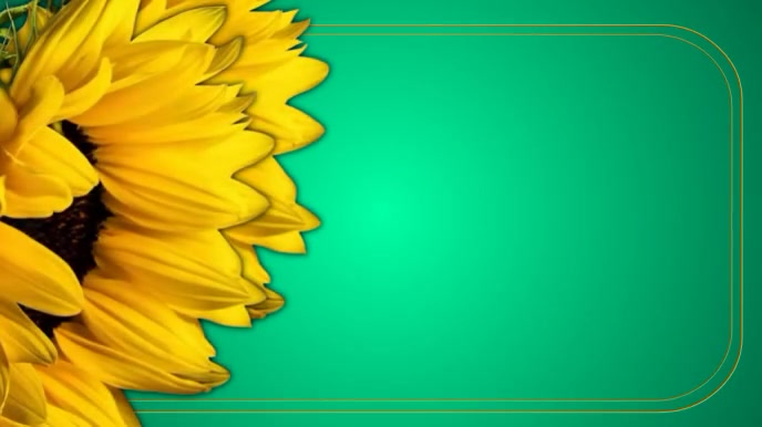 Flower Background Digital Display (16:9) template