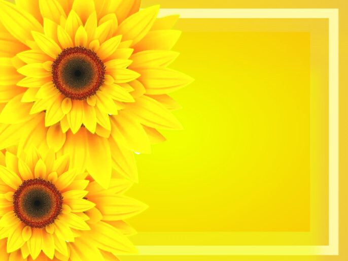 Flower Background Presentation template