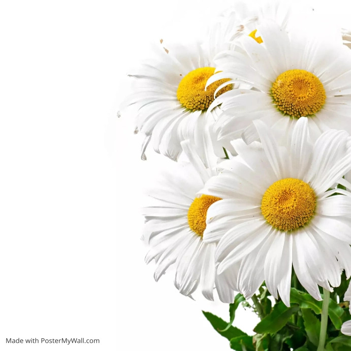 Copy of Flower floral pattern design flyer | PosterMyWall