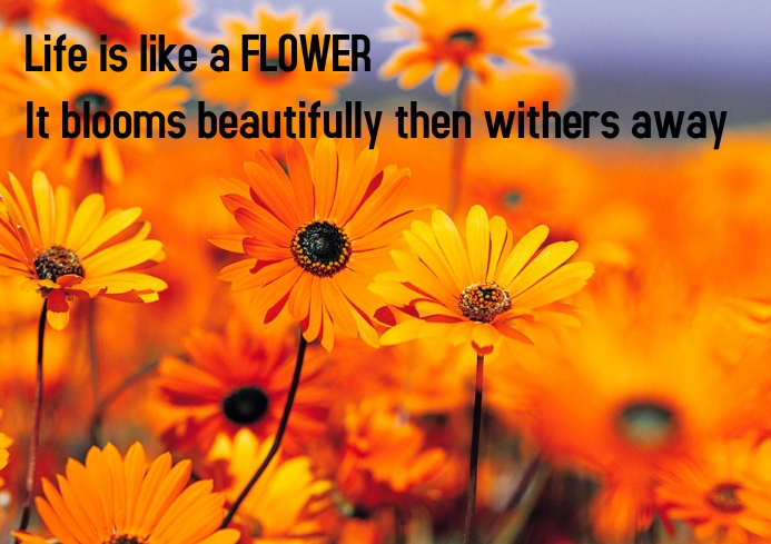 Flower poster template | PosterMyWall