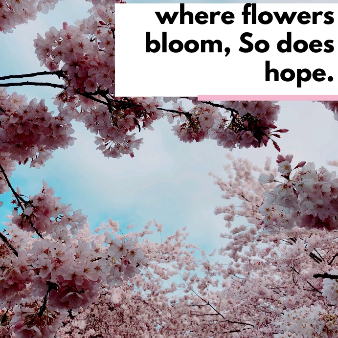 flower quote Template PosterMyWall