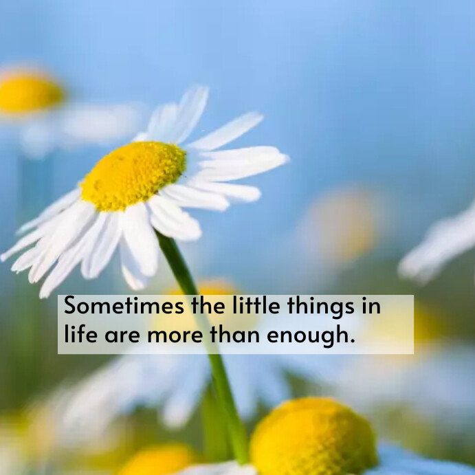 Modèle Flower quote template PosterMyWall