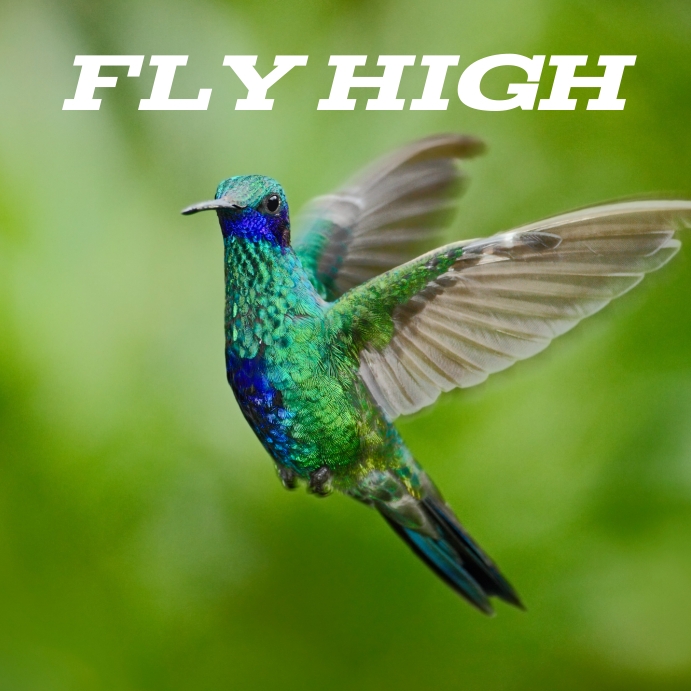 Fly high Template | PosterMyWall