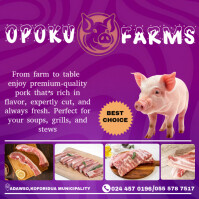 粉色 Pork Farm Promotion Square Template