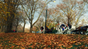 Brown Autumn Scene Miniatura di YouTube Template