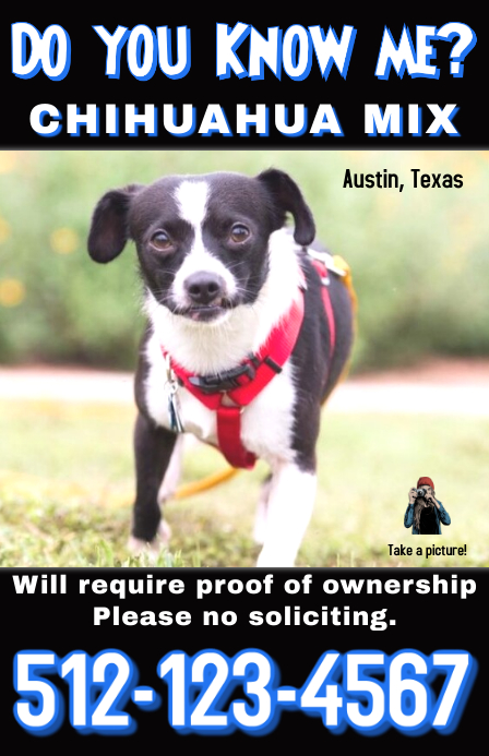 Adopt A Pet Com Blog Free Template Lost Or Found Pet Flyer