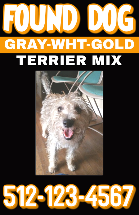 Found Dog Poster Template Postermywall