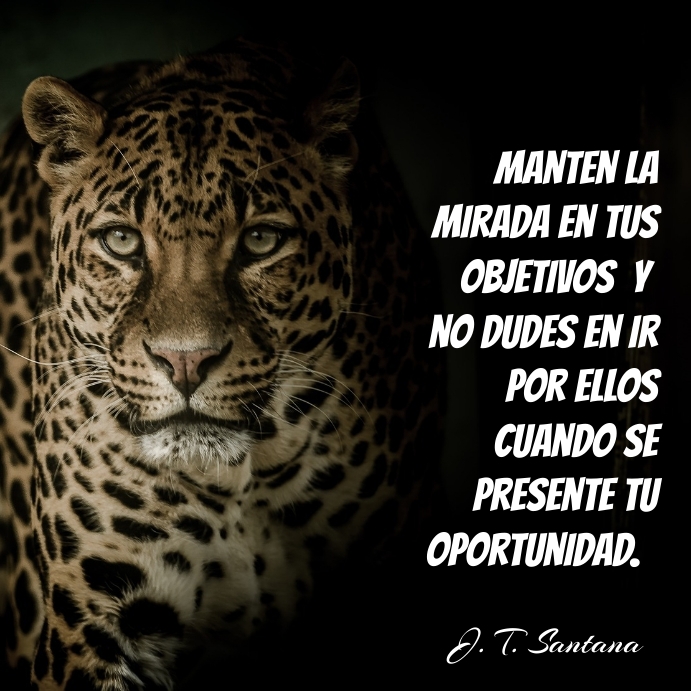 frases de sabiduría Instagram Post template