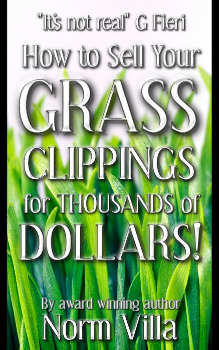 Kostenlos Neuartigen Buchumschlag Designvorlagen Vorlage Postermywall