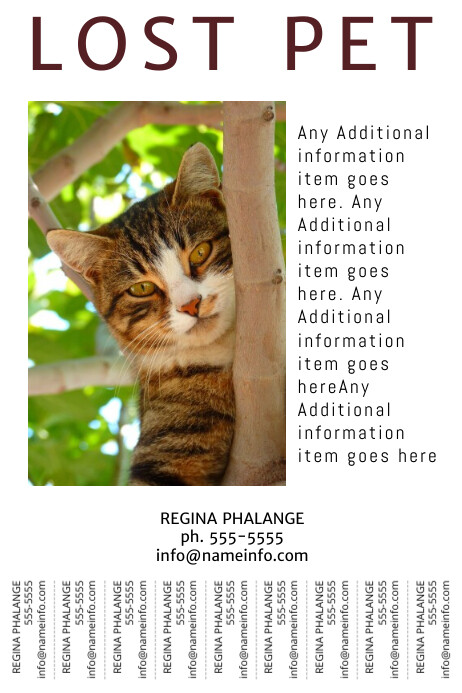 Free Lost Pet Printable Flyer Template Postermywall