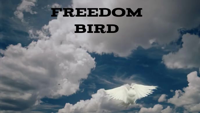 Copy of freedom Bird | PosterMyWall