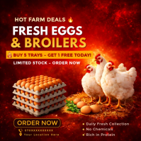 Fresh Eggs & Broilers Sale Flyer | Buy 5 Trays Get 1 Free | Poultry Farm Promo | Wholesale Egg Suppl Square (1:1) template