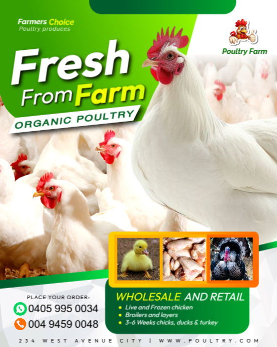 Broilers Flyer Design Fresh farm poultry hen chicken hatchery egg broiler bird sales ...
