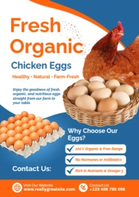 Fresh Organic Chicken Eggs Poster Template – Farm Produce & Healthy Food A2