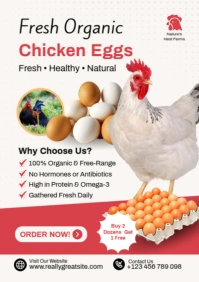 Fresh Organic Chicken Eggs Poster Template – Farm Produce & Healthy Food A2
