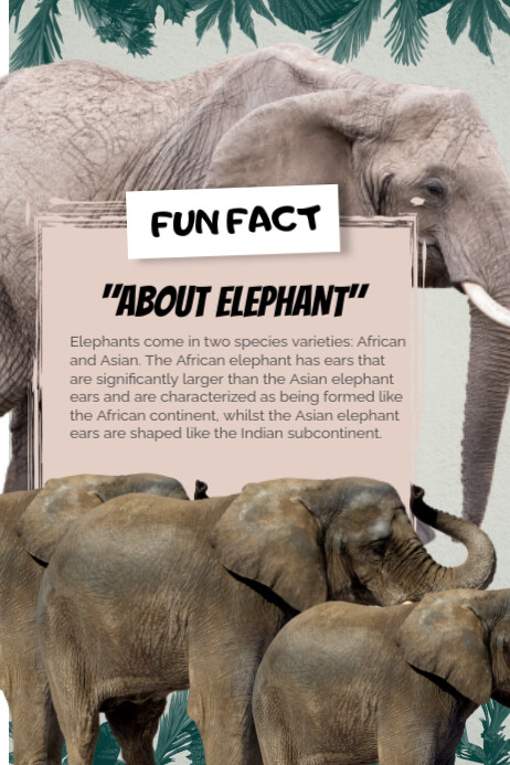 Fun Fact Design Example Fun Facts Poster Design