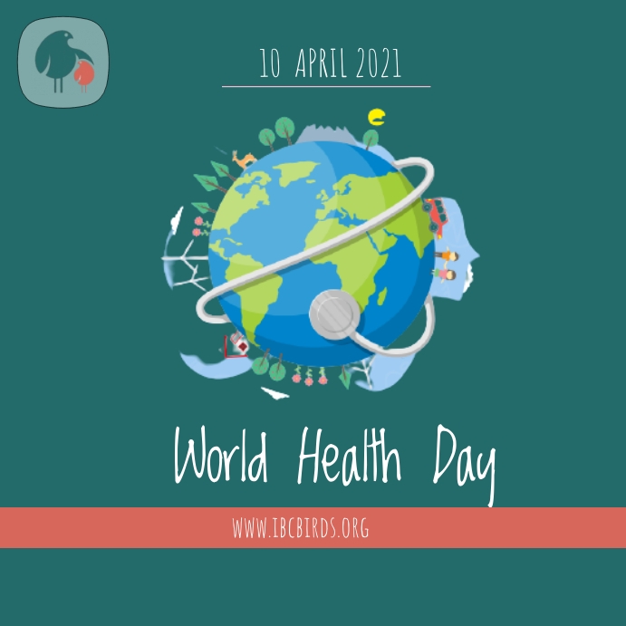 Fun Facts Template | PosterMyWall