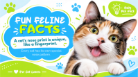 Blanco Cat Facts Thumbnail sa YouTube Template