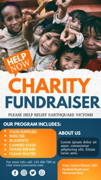 fundraiser, charity Instagram Story template