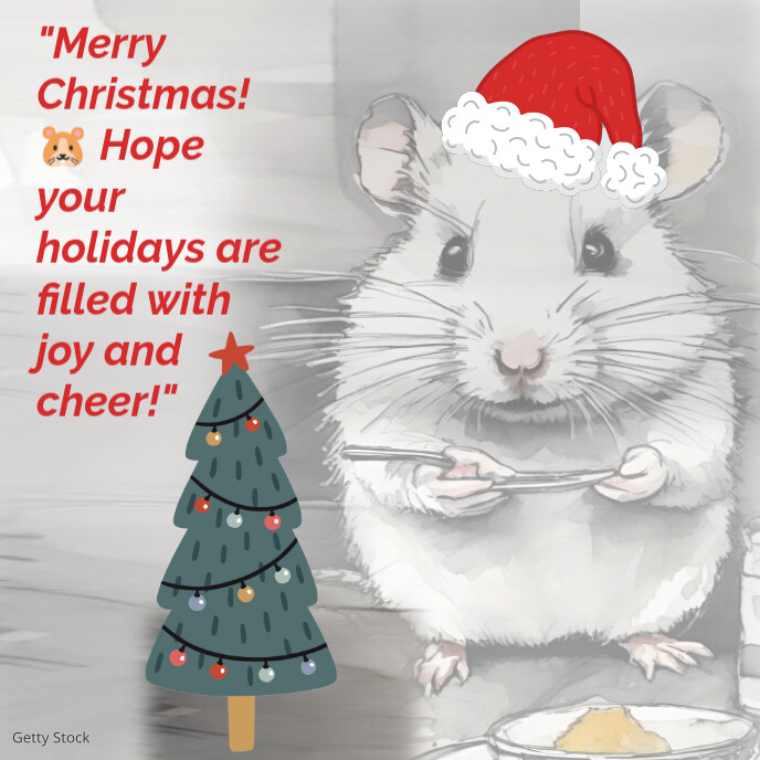 Funny Christmas Card Template PosterMyWall