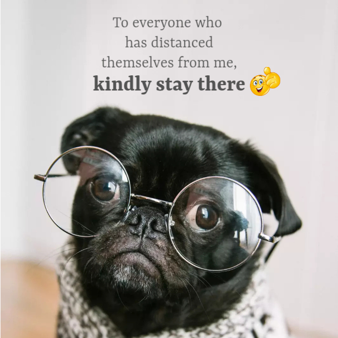 Funny Posts. Design funny Template | PosterMyWall