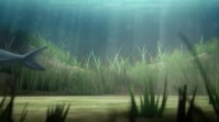 funny fishing trip video (Send one to each of your buddies)! Change photo & info Digital Display (16:9) template