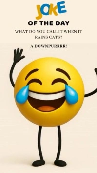 Funny joke of the day story design template