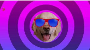 Viola Fun Dog Image YouTube Channel Cover Photo Template