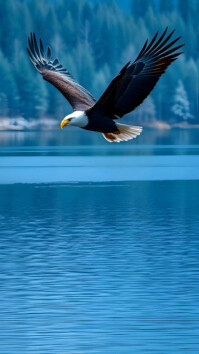 Futuristic "majestic Bald Eagle In Flight Over Blue Lake" Digital Display (9:16) template