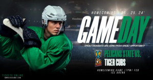 Game Day Hockey Изображение, которым поделились на Facebook template