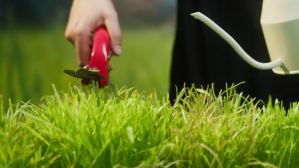 黄色 Garden and forests Care ตัวอย่างภาพบน YouTube Template