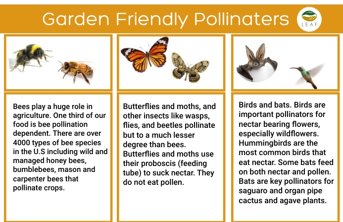 Garden Friendly Pollinators Template | PosterMyWall