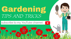 Gardening tips and tricks YouTube channel template
